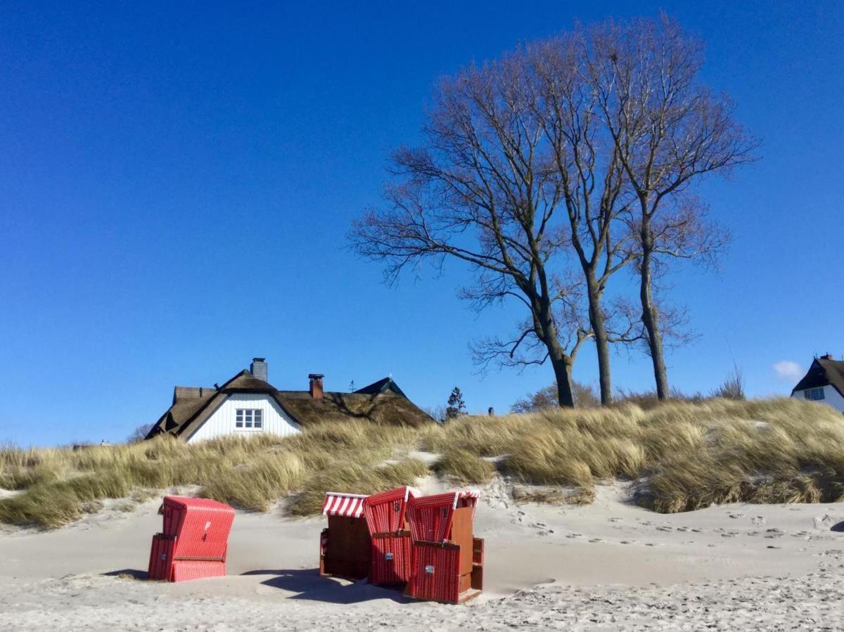 Ferienwohnung Morgensonne Born Buitenkant foto